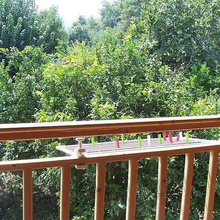 Naz Apartlari * Cirali