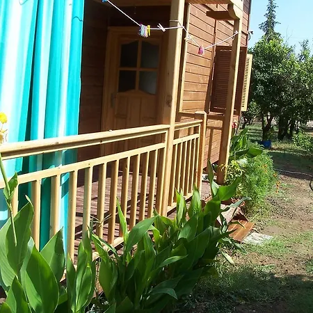 Apartment Naz Apartlari