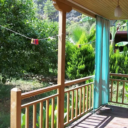 Naz Apartlari * Cirali