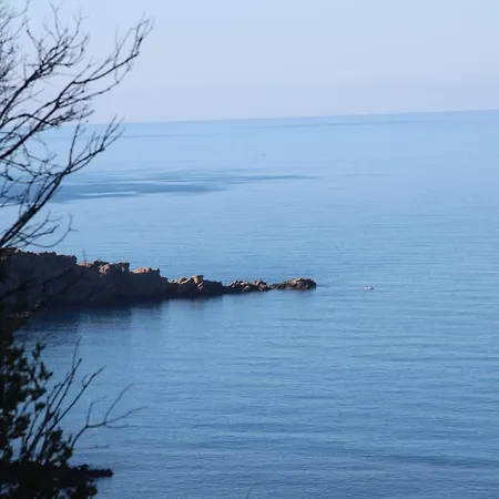 Naz Apartlari Cirali