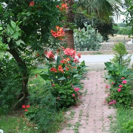 Apartment Naz Apartlari