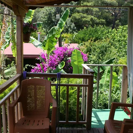 Naz Apartlari Apartment *