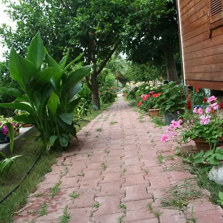 Naz Apartlari Apartment *