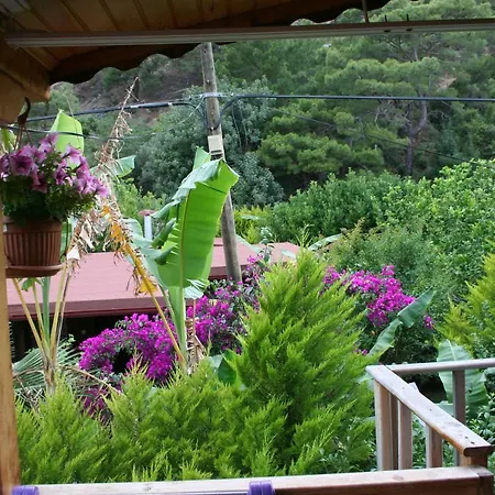 Naz Apartlari * Cirali